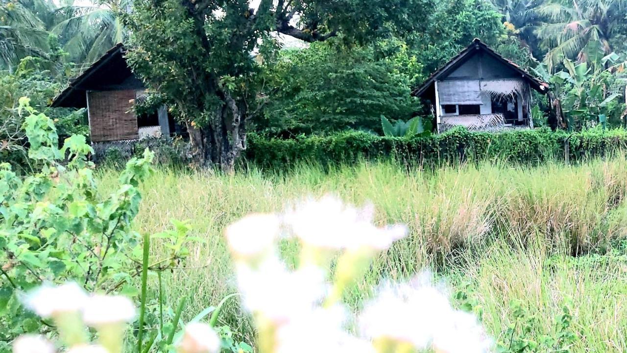Lake Cabin Полоннарува Экстерьер фото